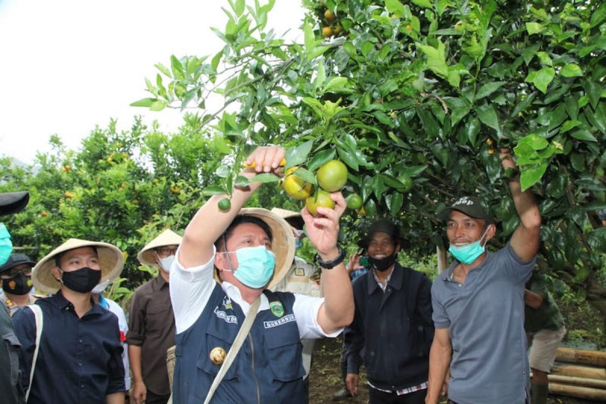 Pemprov Sumsel dorong pengembangan  wisata Pagaralam