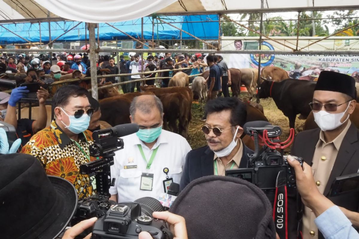 Sulsel pasok bibit sapi ke sejumlah provinsi