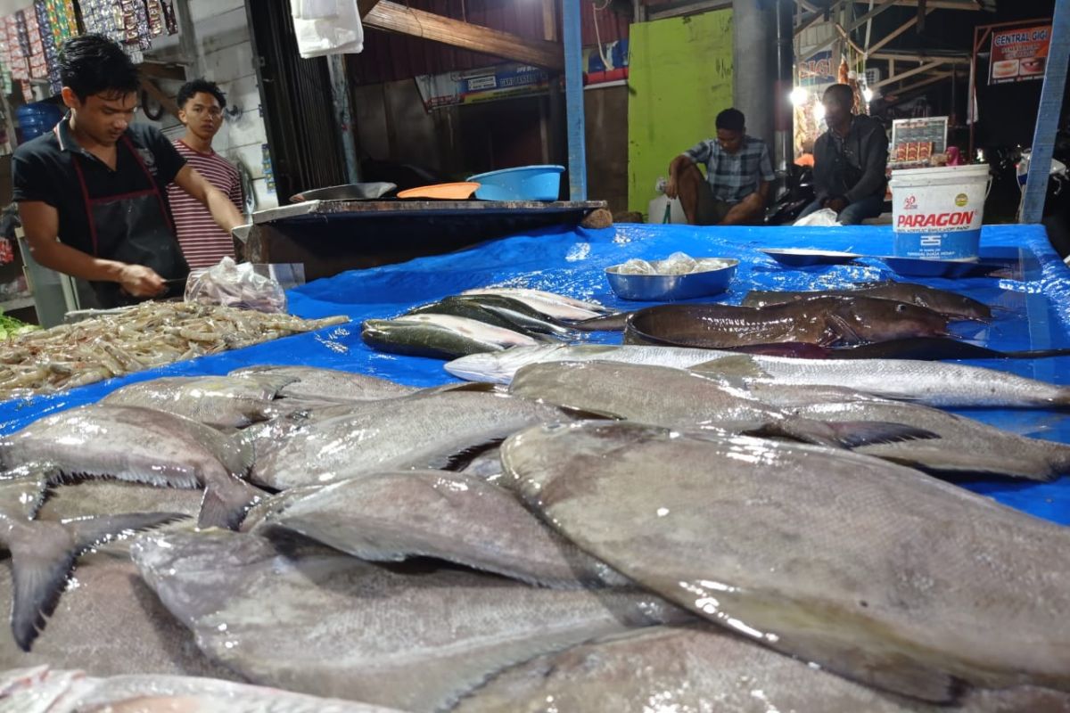 Ombak laut tinggi, persediaan ikan minim di Aceh Tamiang