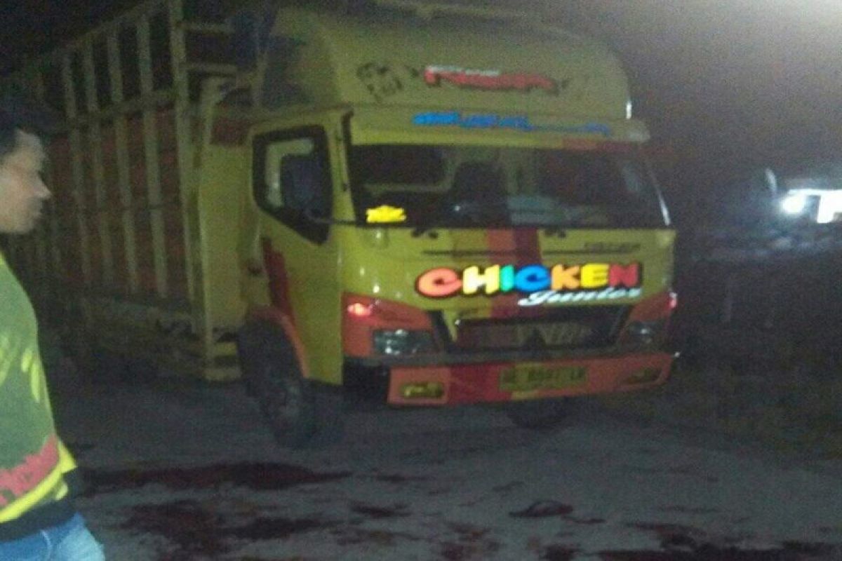 Truk pengangkut ayam dirampok di Mesuji, pengemudi tewas ditembak