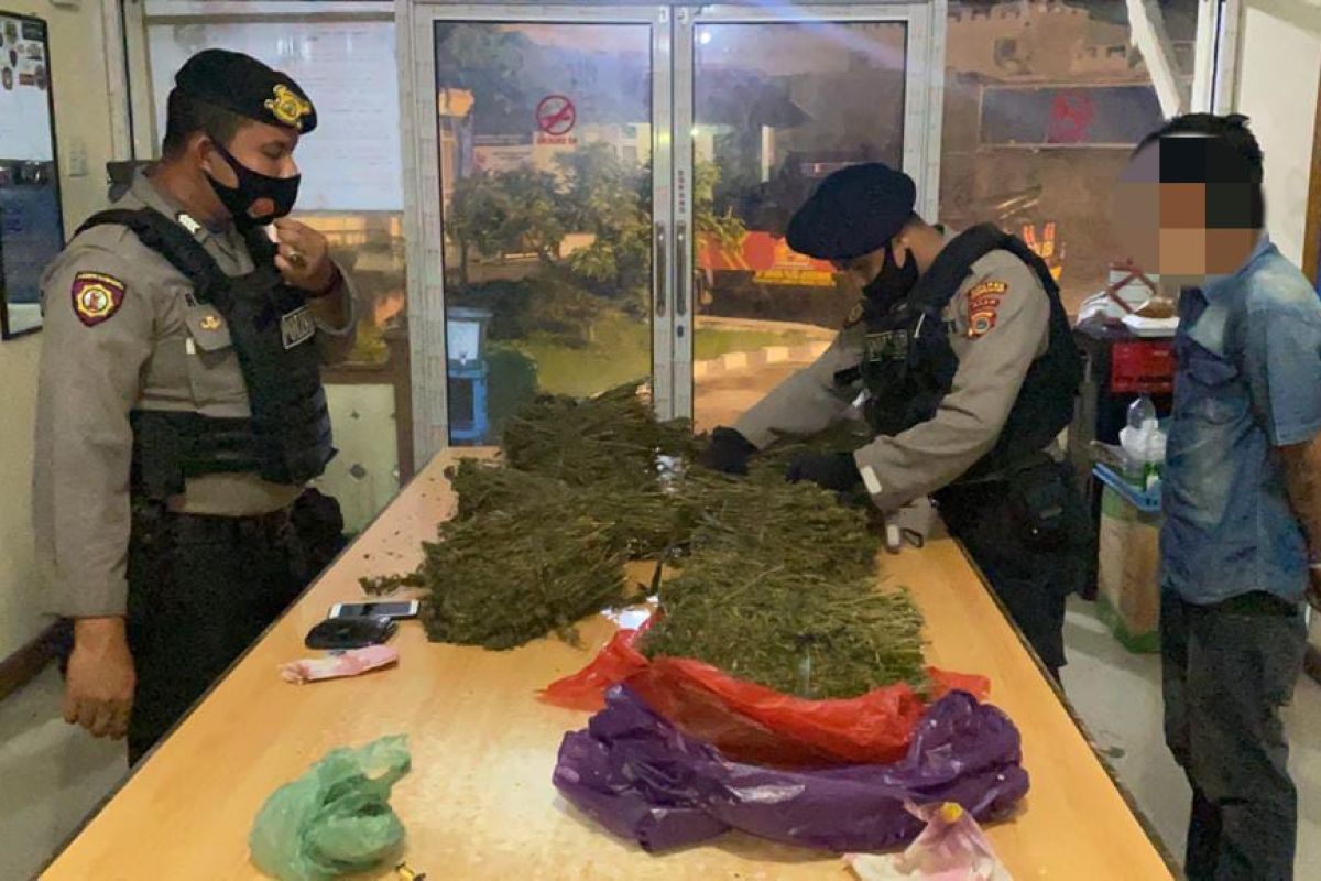 Polres Lhokseumawe amankan 10 kilogram ganja saat pengamanan Natura