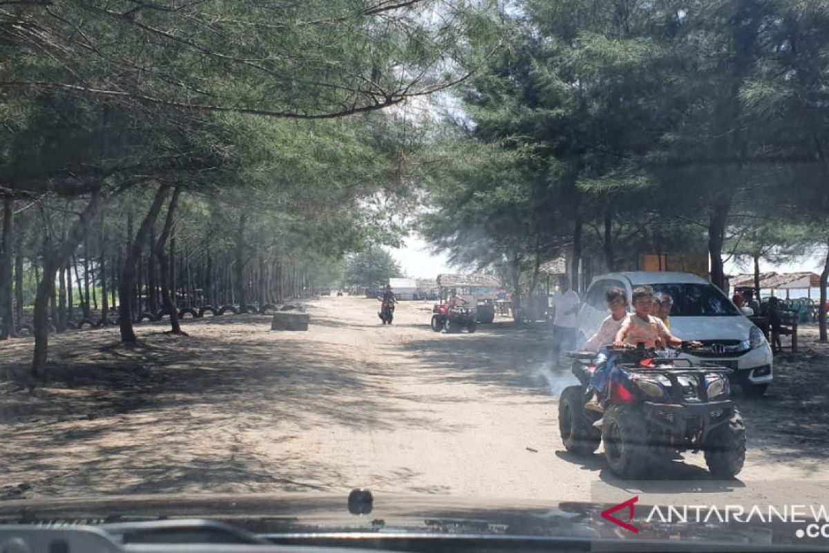 Pohon seribu Sasak Pasaman Barat manjadi primadona wisatawan selama libur panjang