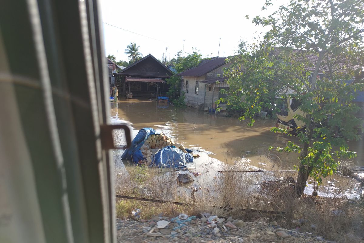 Rumah penduduk dan anakan padi di Kabupaten Banjar Kalsel terendam