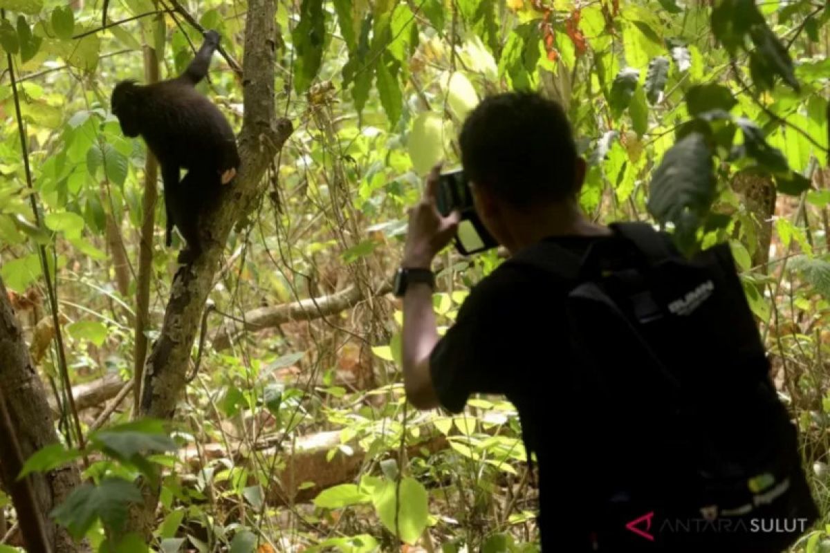 Dinas Kehutanan Sumsel siapkan tiga kawasan ekosistem esensial