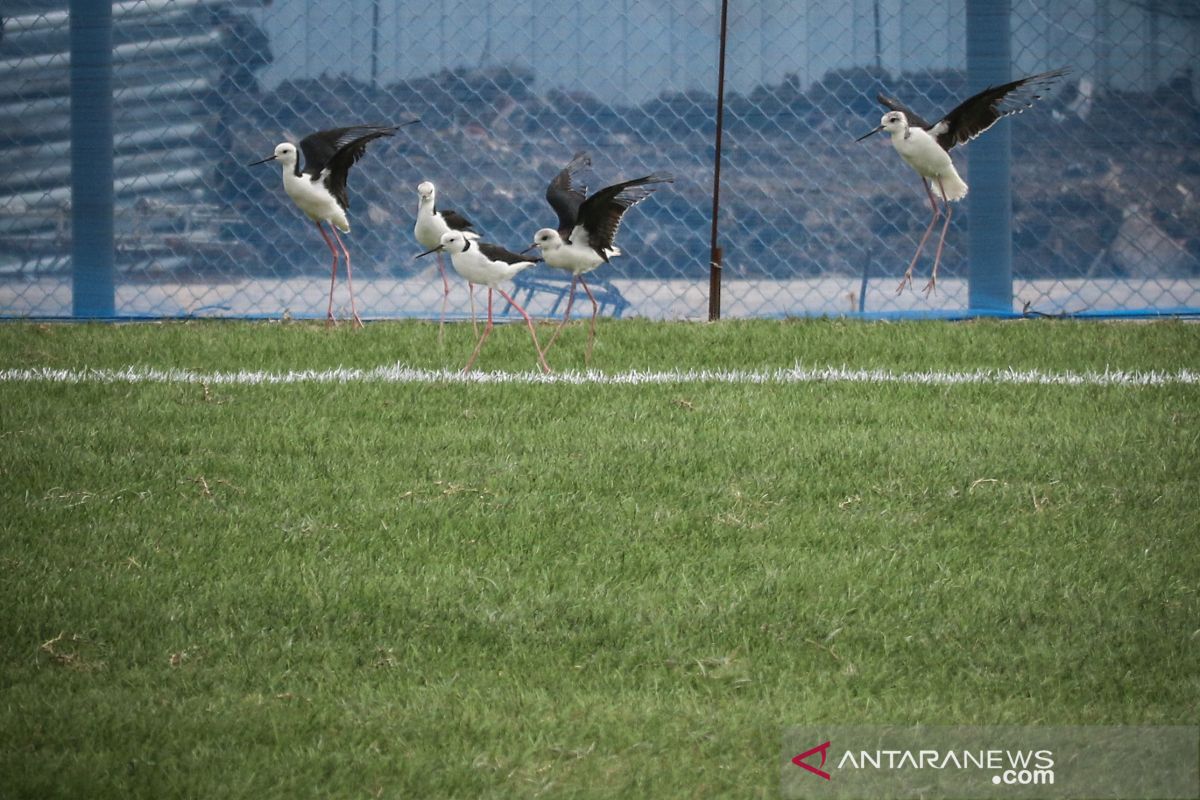 Sepekan, klaster COVID-19 baru hingga efisiensi makam di Bambu Apus