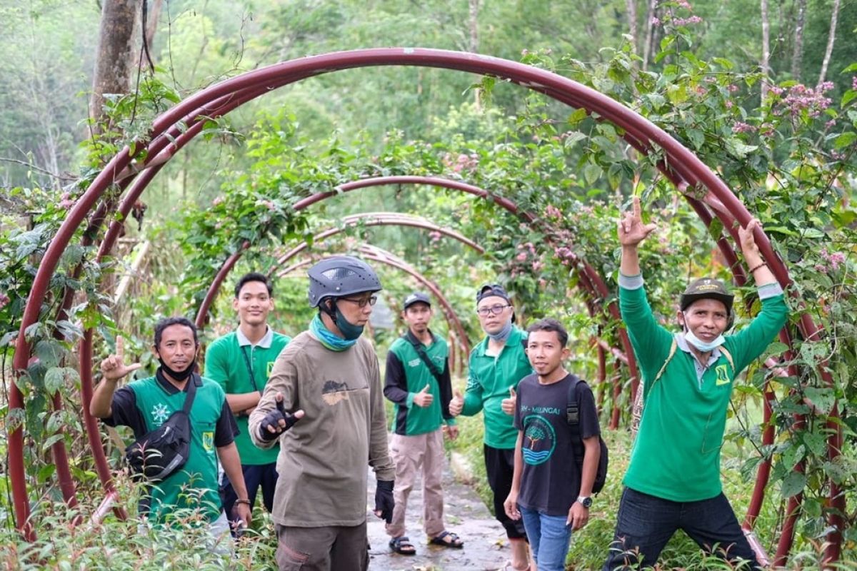 Hijau Daun, FKH planting trees at Balangan Botanical Garden