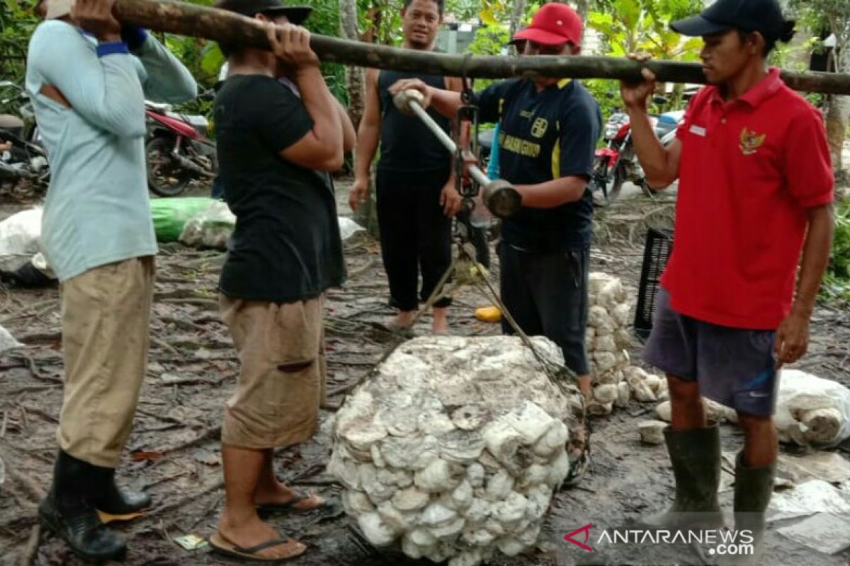 UPPB beli  karet petani lebih baik dari pengepul