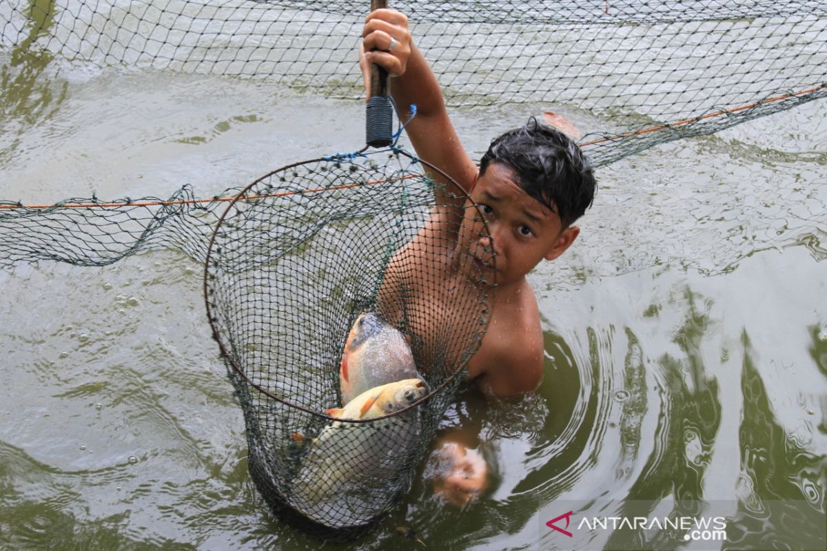 Target peningkatan produkvitas perikanan budidaya