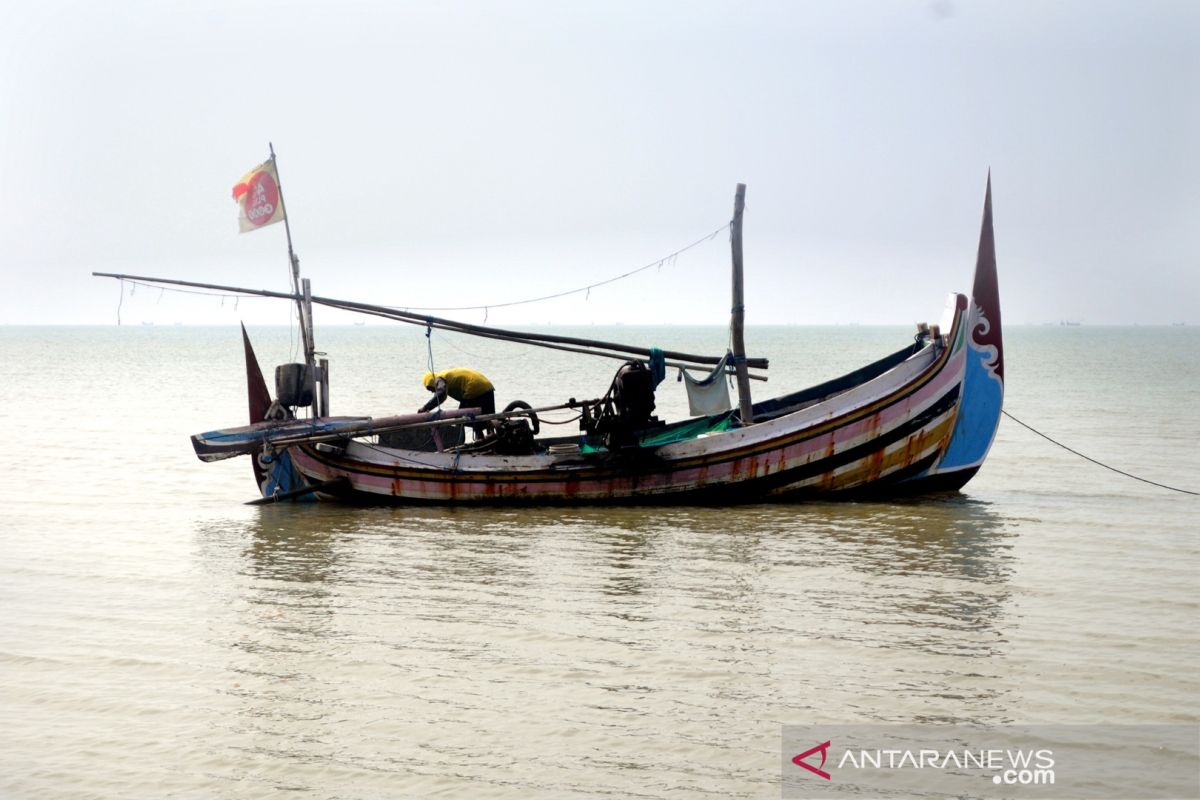 Pelaku usaha perikanan di Baubau umumnya belum miliki dokumen