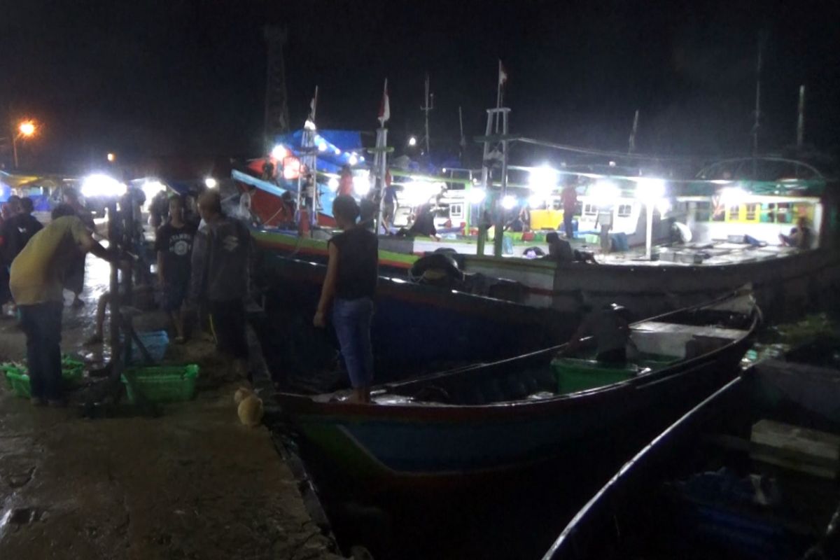 Pasokan ikan laut di pelabuhan perikanan Banjarmasin berlimpah