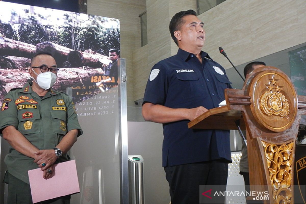 Bareskrim tangkap pimpinan perusahaan penebang liar di Kalteng