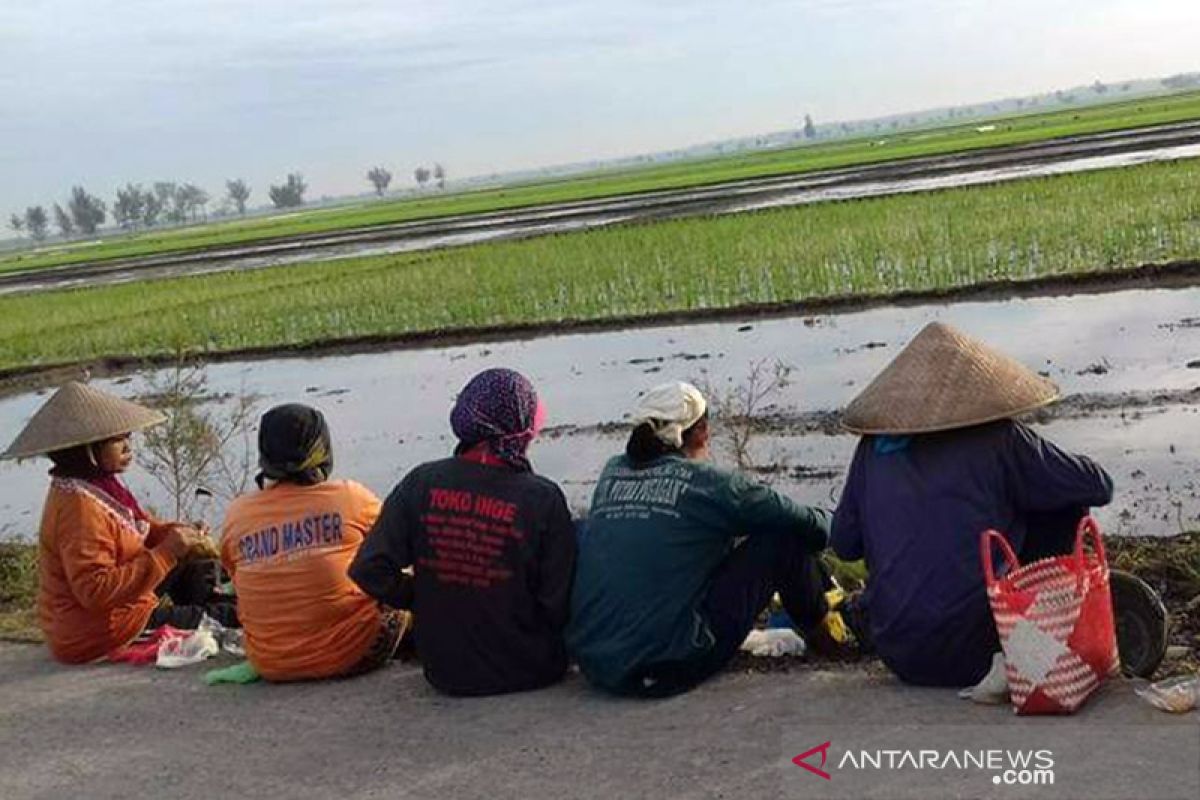 Menilik upaya bersama wujudkan desa sejahtera di tengah pandemi