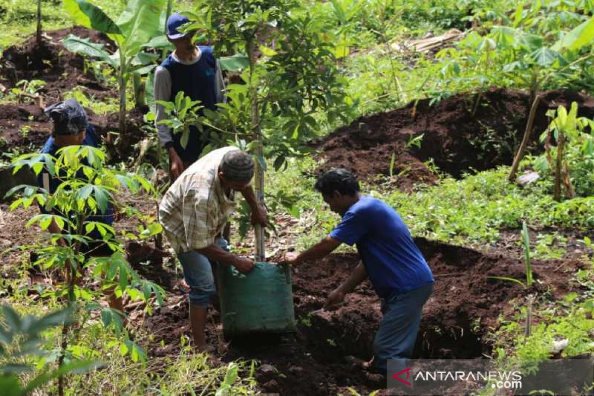 Ratusan santri di Temanggung giatkan gerakan menanam pohon