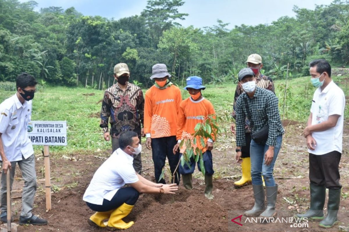 Pemerintah Batang luncurkan eduwisata taman buah 25 hektare