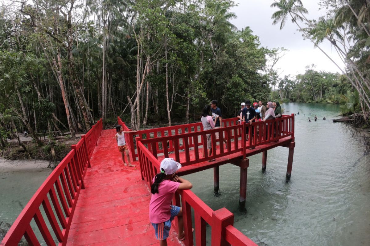 Pemenang desa wisata Bengkulu jadi percontohan pengembangan objek wisata