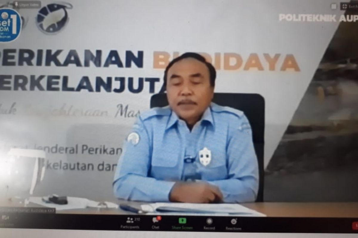 KKP menebar benur perdana di tujuh lokasi tambak udang berkelanjutan