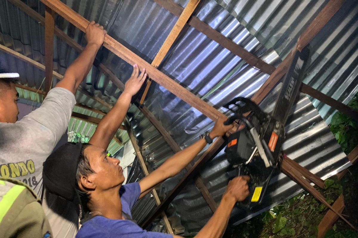 Dua rumah rusak akibat tertimpa pohon di Jalan Johar, Gang Bara