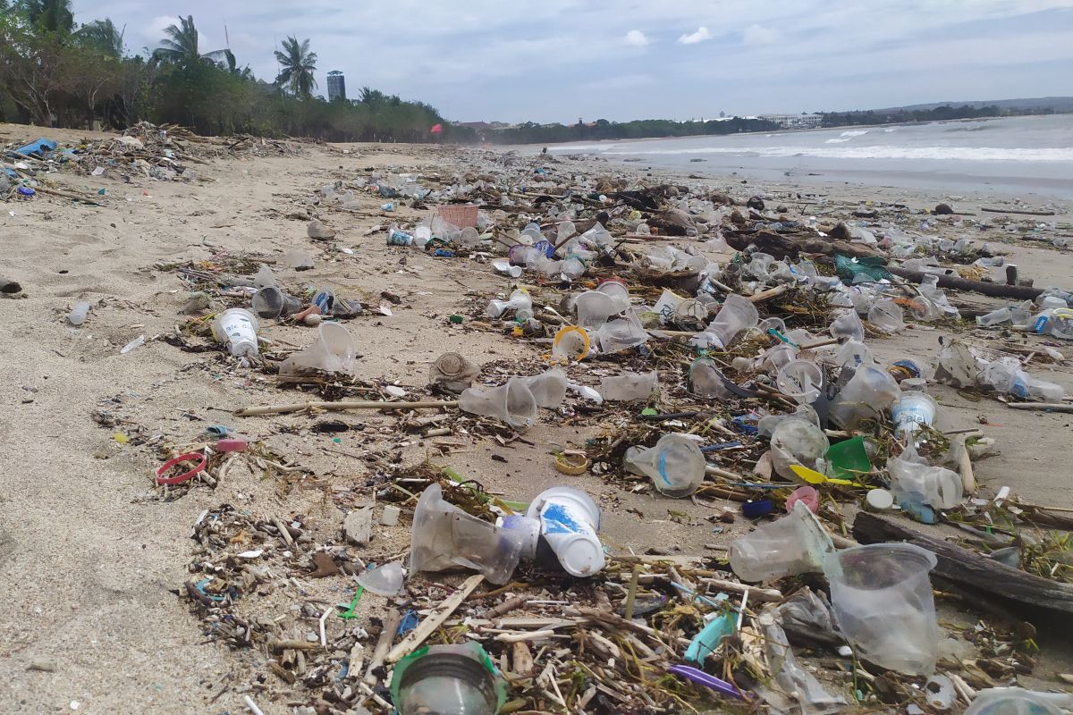 Bali's Kuta Beach cleared of 30 tons of marine litter