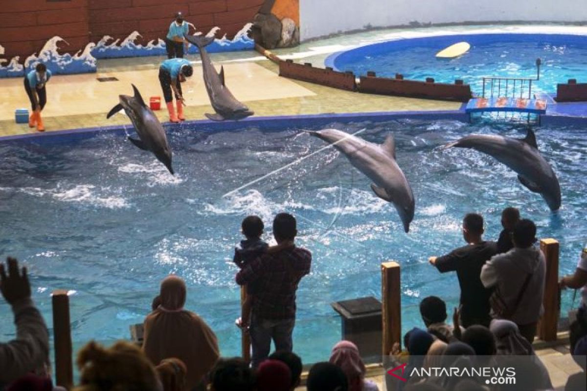 Wisata Batang Dolphin Center