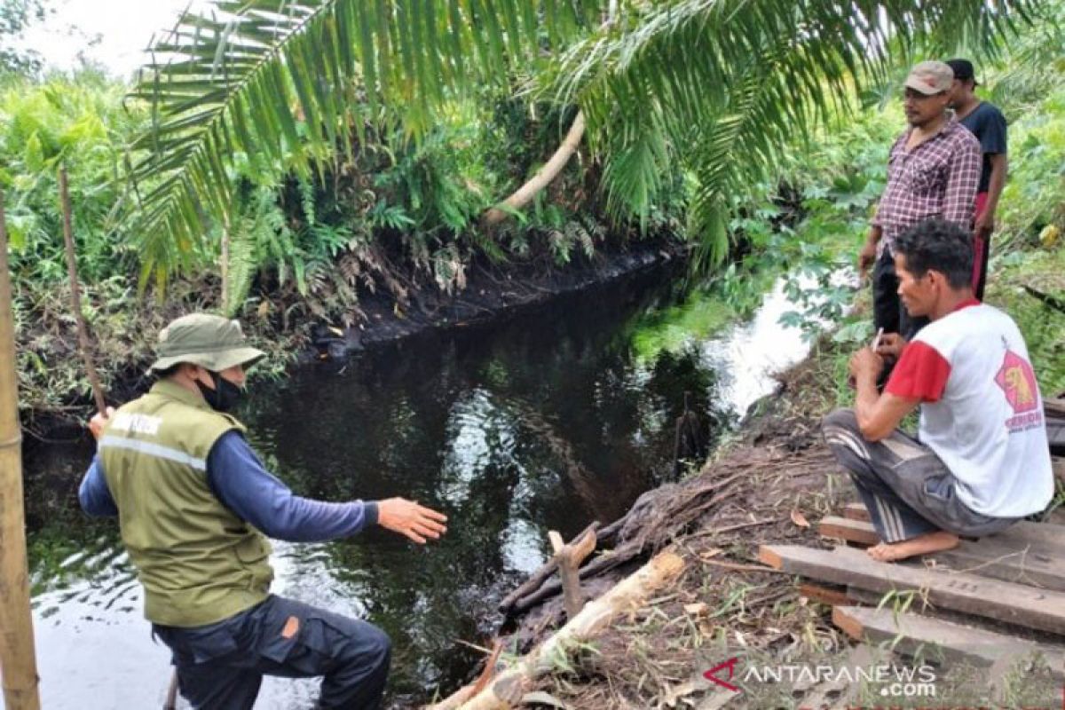 Buaya terkam nenek  hingga tangan putus