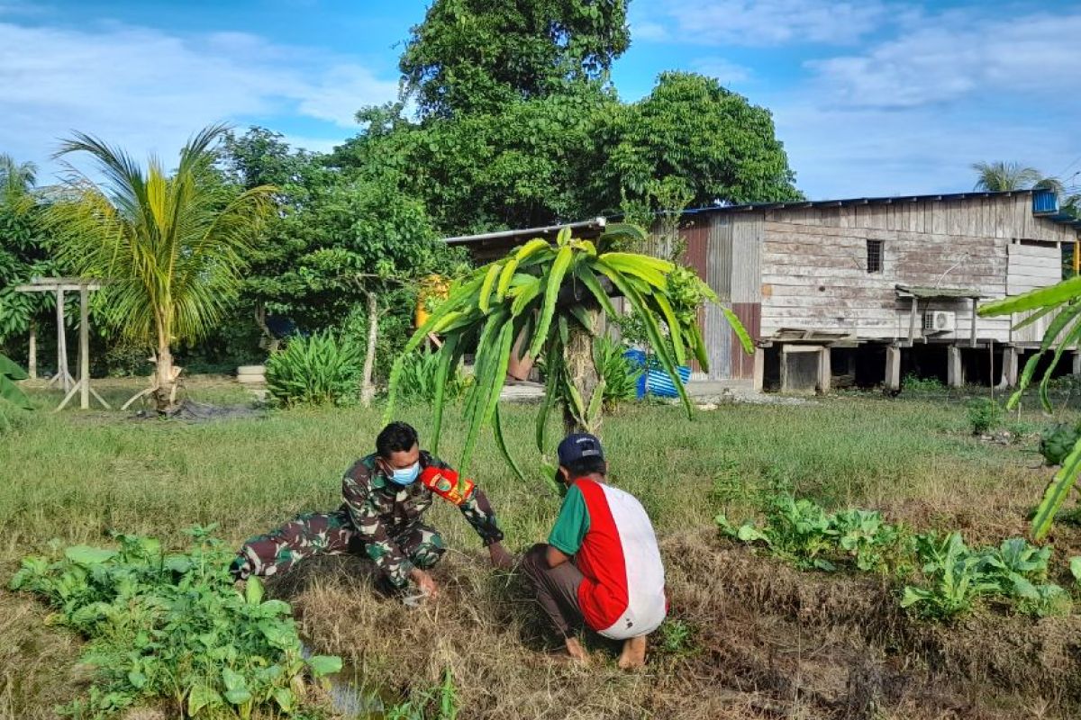 Babinsa Koramil Mapurujaya Komsos dengan petani Kampung Muare