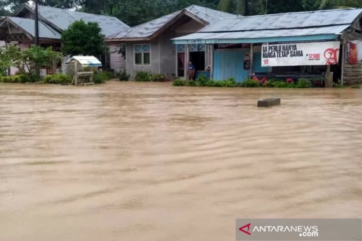 Ribuan warga Aceh Timur terdampak banjir meluas