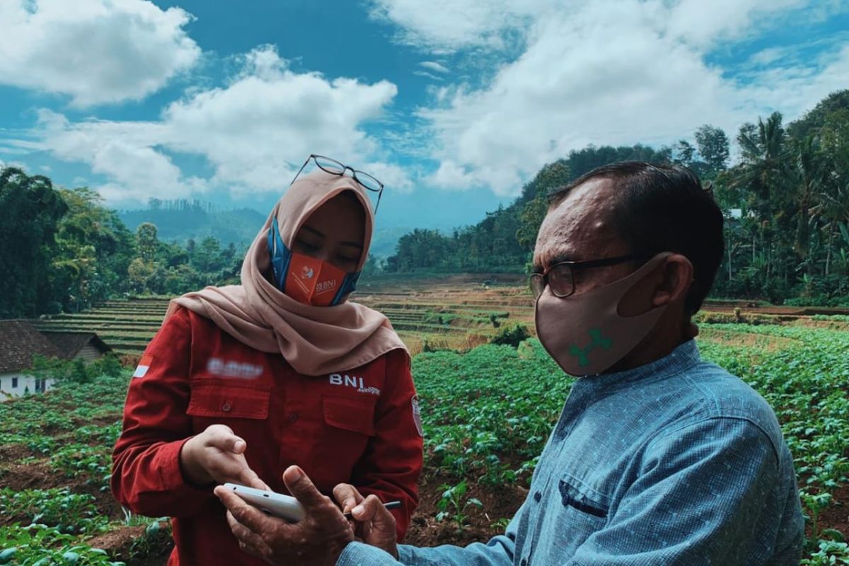 BNI uji coba "smart farming" pada lima provinsi