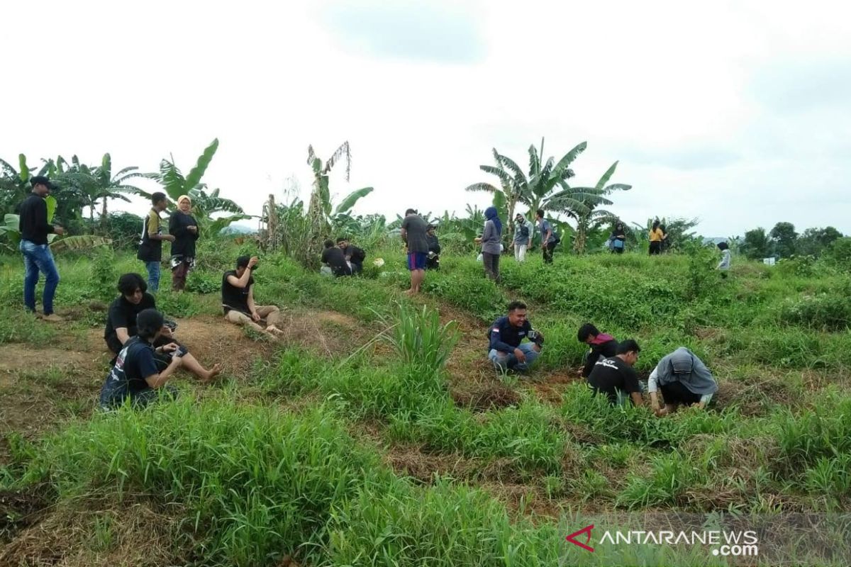 Mahasiswa Untag tanam pohon di DAS Karang Mumus