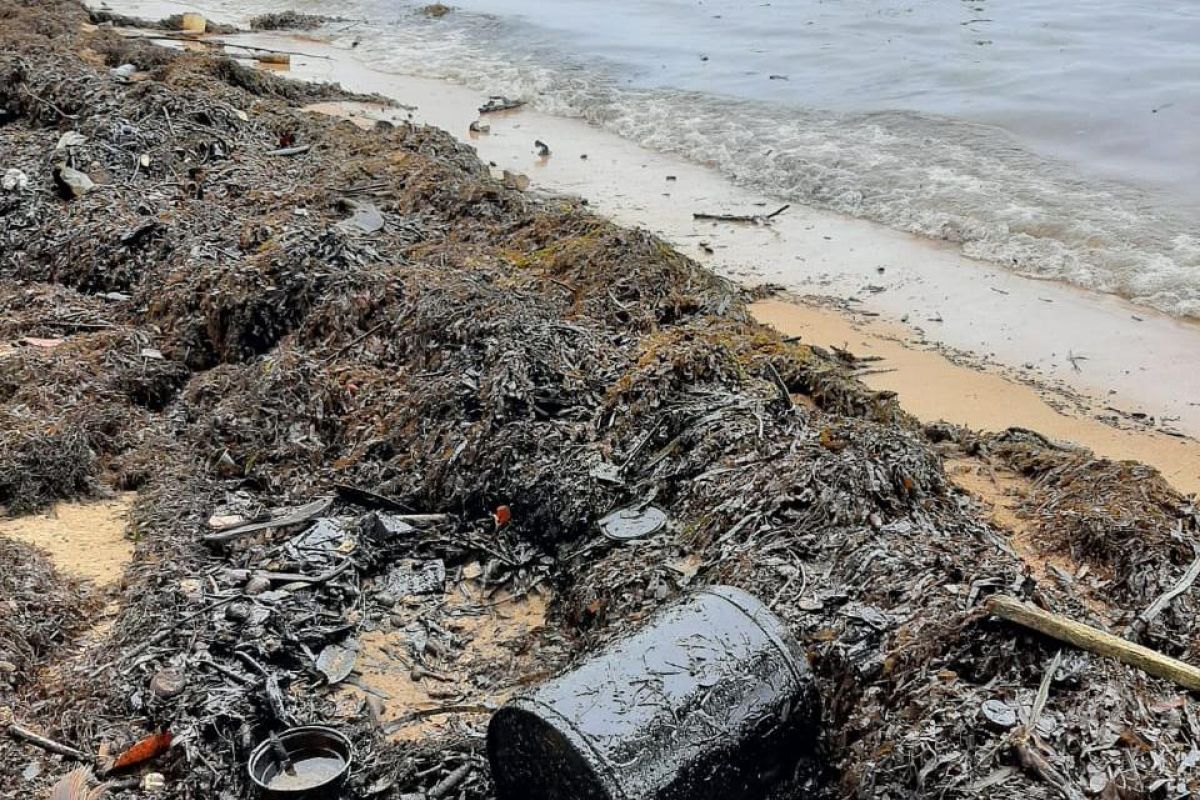 Limbah minyak cemari pantai Pulau Batam, begini dampaknya ke nelayan
