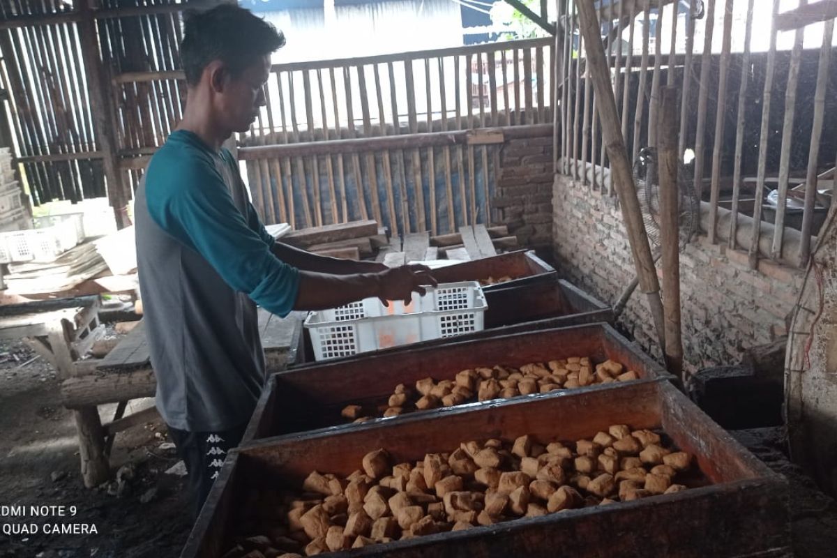 Perajin tahu di Lebak kembali produksi