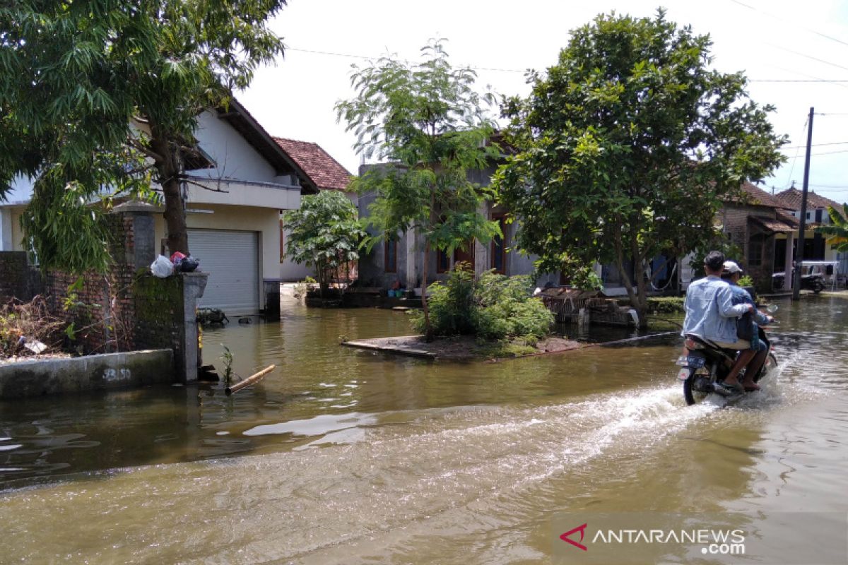 166 rumah warga di Kudus terendam banjir