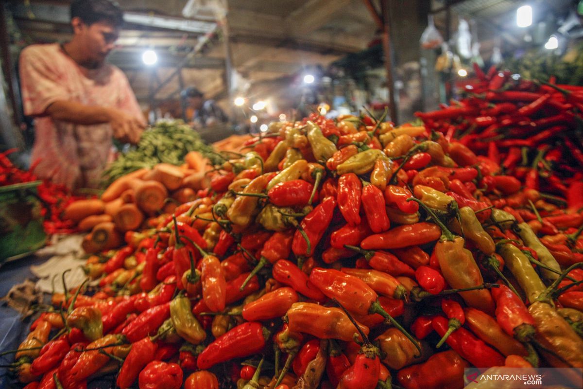 Harga cabai rawit hijau dan daging ayam kampung di Inhil alami kenaikan