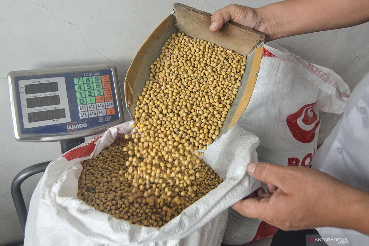 Bareskrim selidiki dugaan penimbunan kedelai di sejumlah wilayah