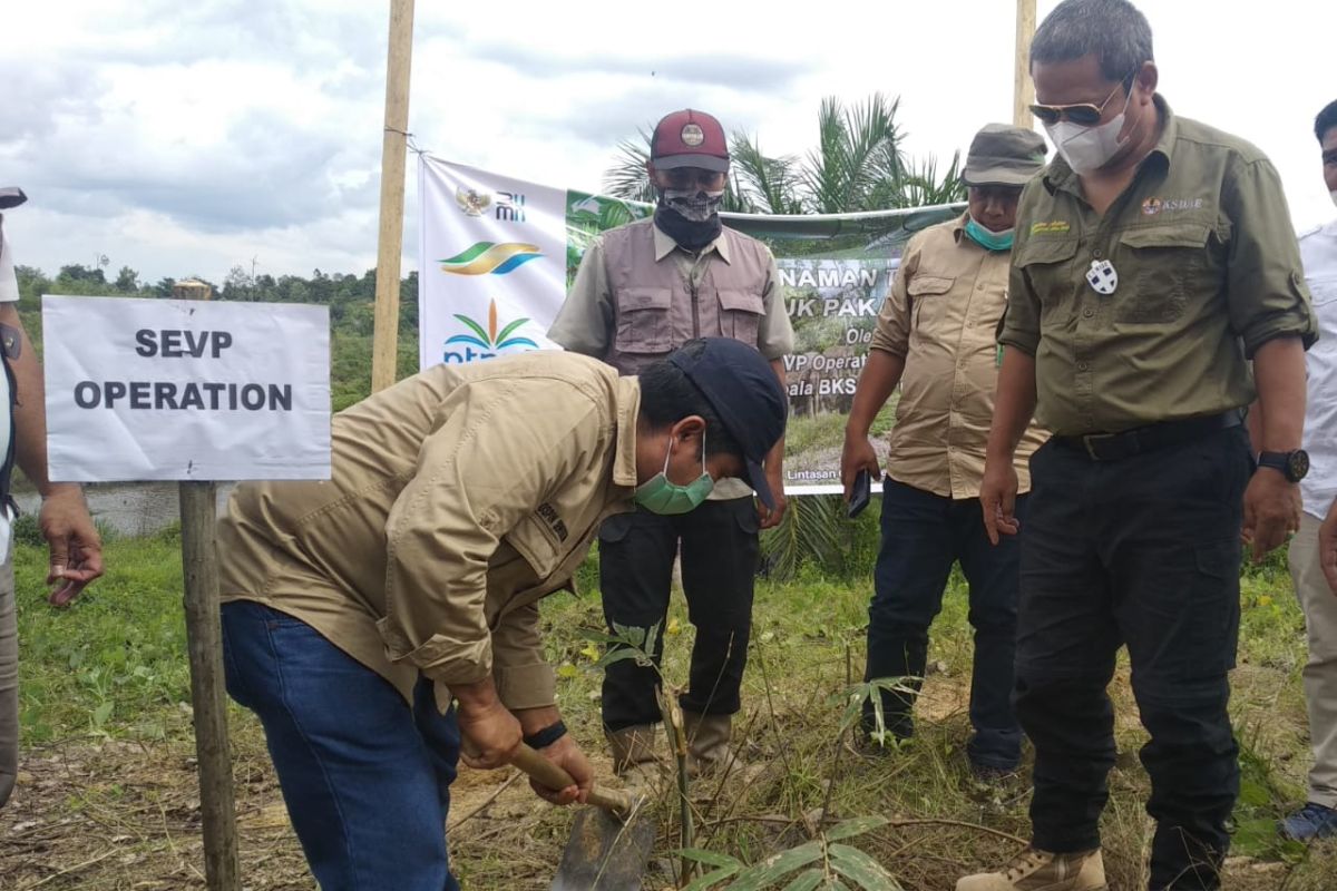 PTPN V-BBKSDA Riau bentuk tim lindungi gajah sumatera