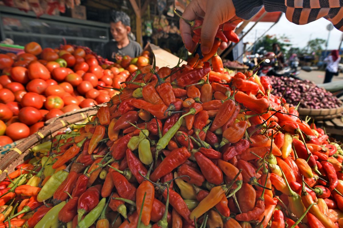 Flood causes chili price to soar
