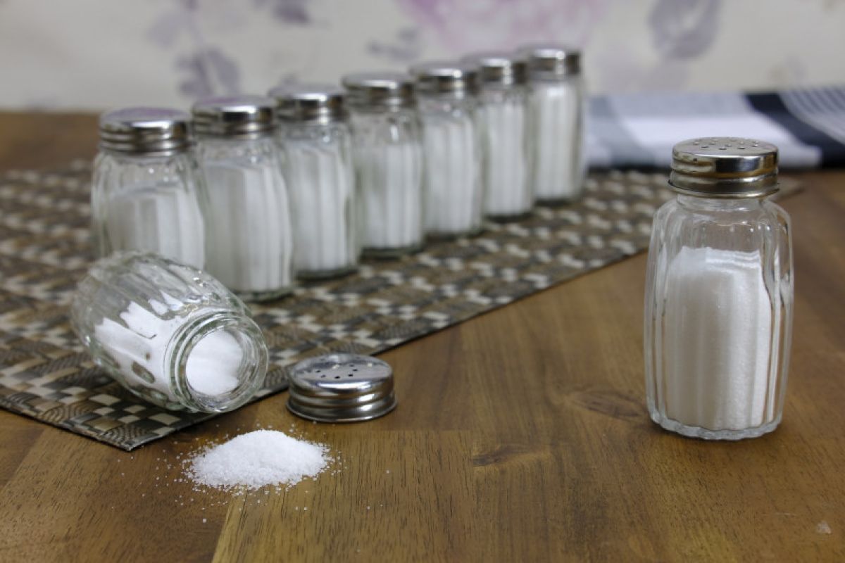Garam meja difortifikasi asam folat dapat cegah cacat bawaan