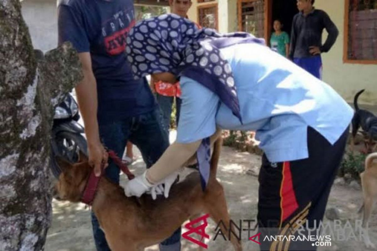 Pemkab Agam sediakan 5.000 vaksin bagi hewan pembawa rabies