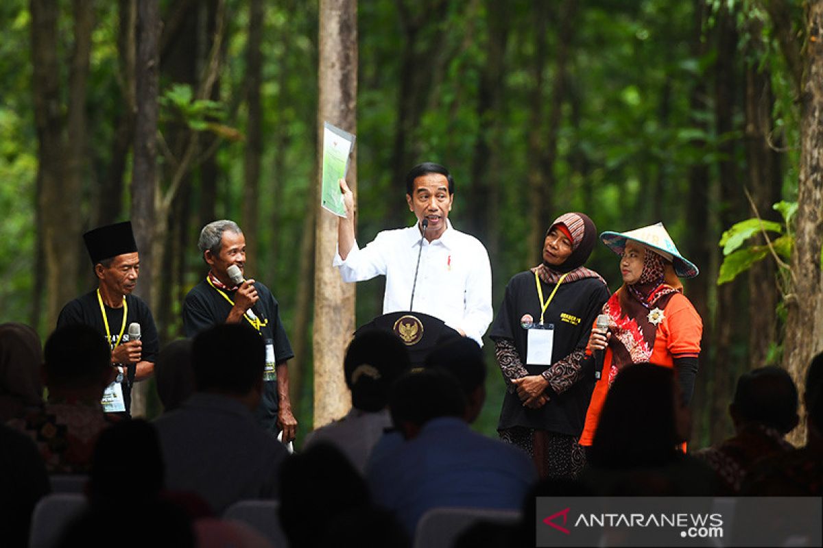 Jokowi serahkan SK hutan adat, hutan sosial dan TORA se-Indonesia