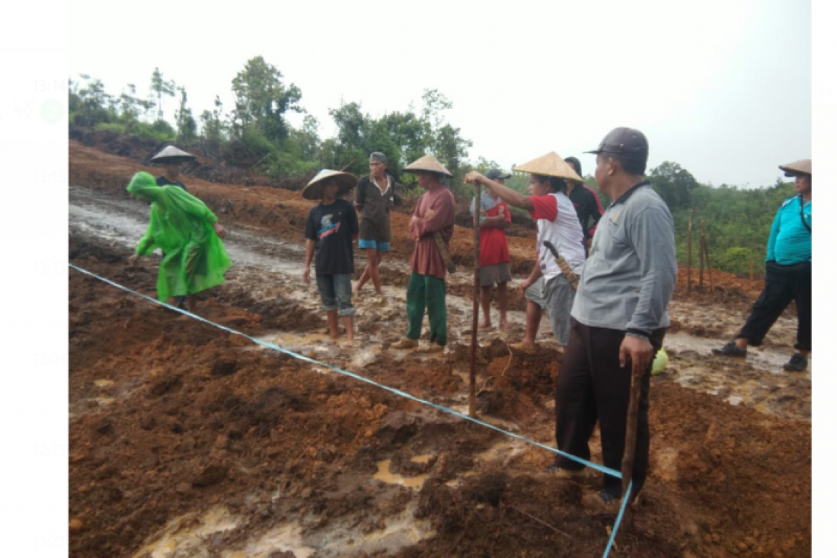 Kapuas Hulu kembangkan tanaman ubi kayu untuk tepung Tapioka