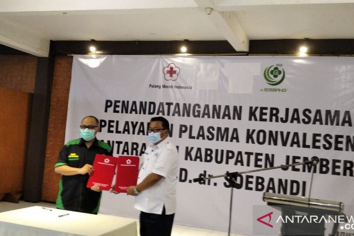 PMI Jember gandeng RSD dr. Soebandi sediakan plasma konvalesen