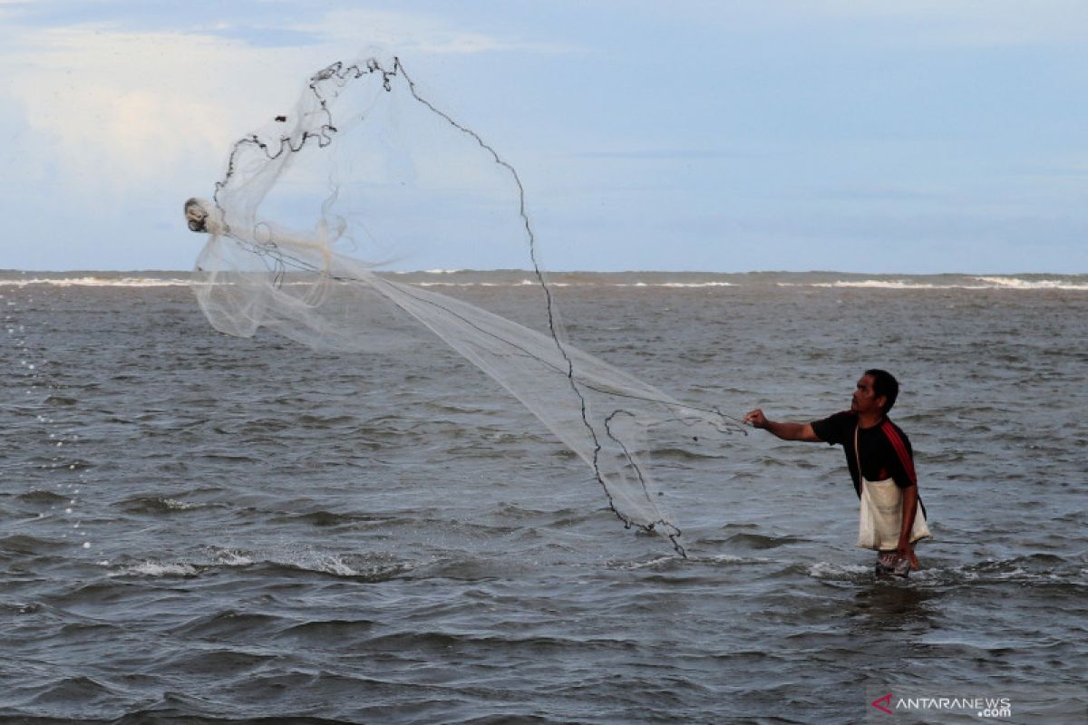 KKP-Unib pasang dua alat deteksi tsunami di perairan Bengkulu