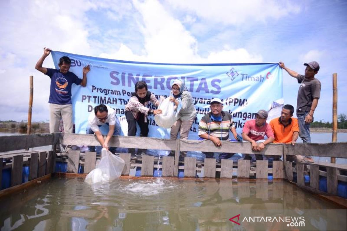 Kelompok  Lingkungan Bangka Hijau Sulap Kolong Bekas Tambang Jadi Budidaya Kakap Putih