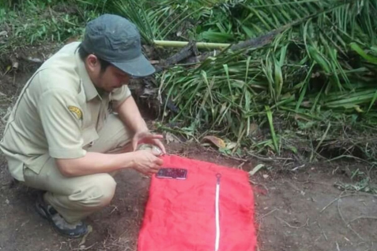 Disbudpar Gumas teliti benda objek diduga cagar budaya di Rabauh