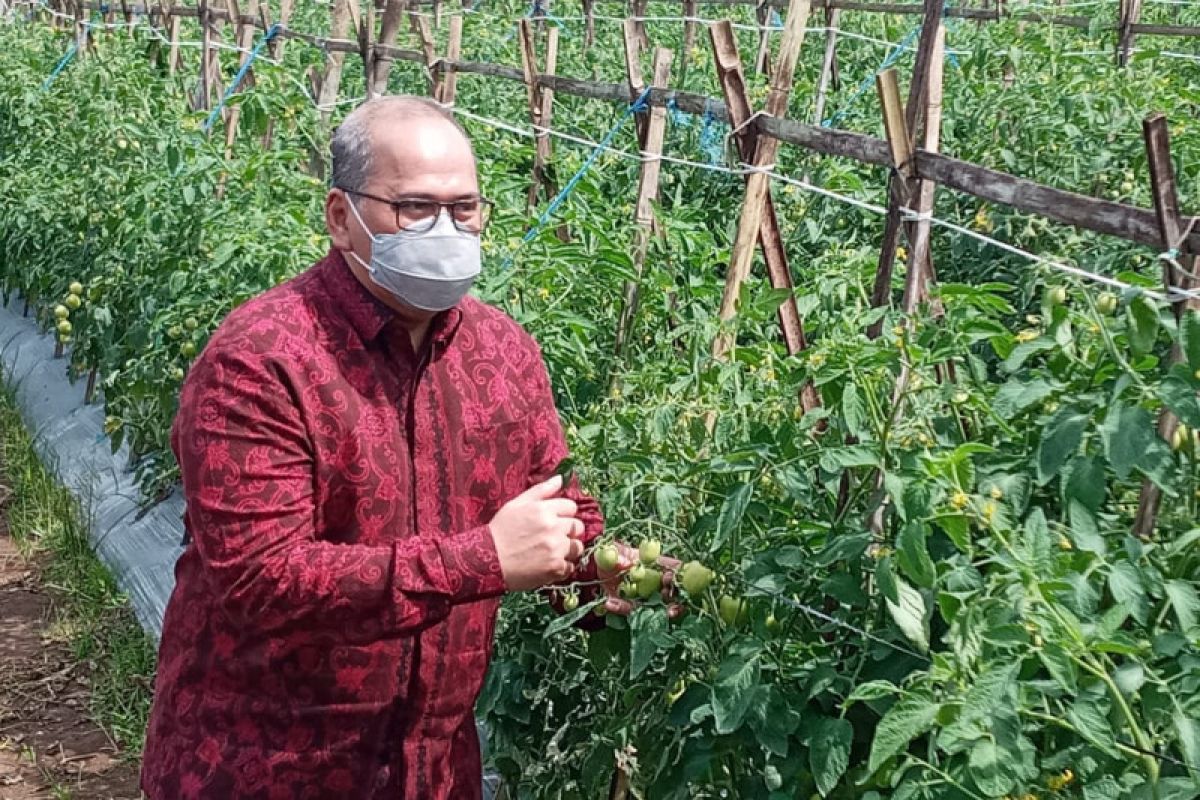 BI Banten optimis vaksinasi jadi pendorong pertumbuhan ekonomi