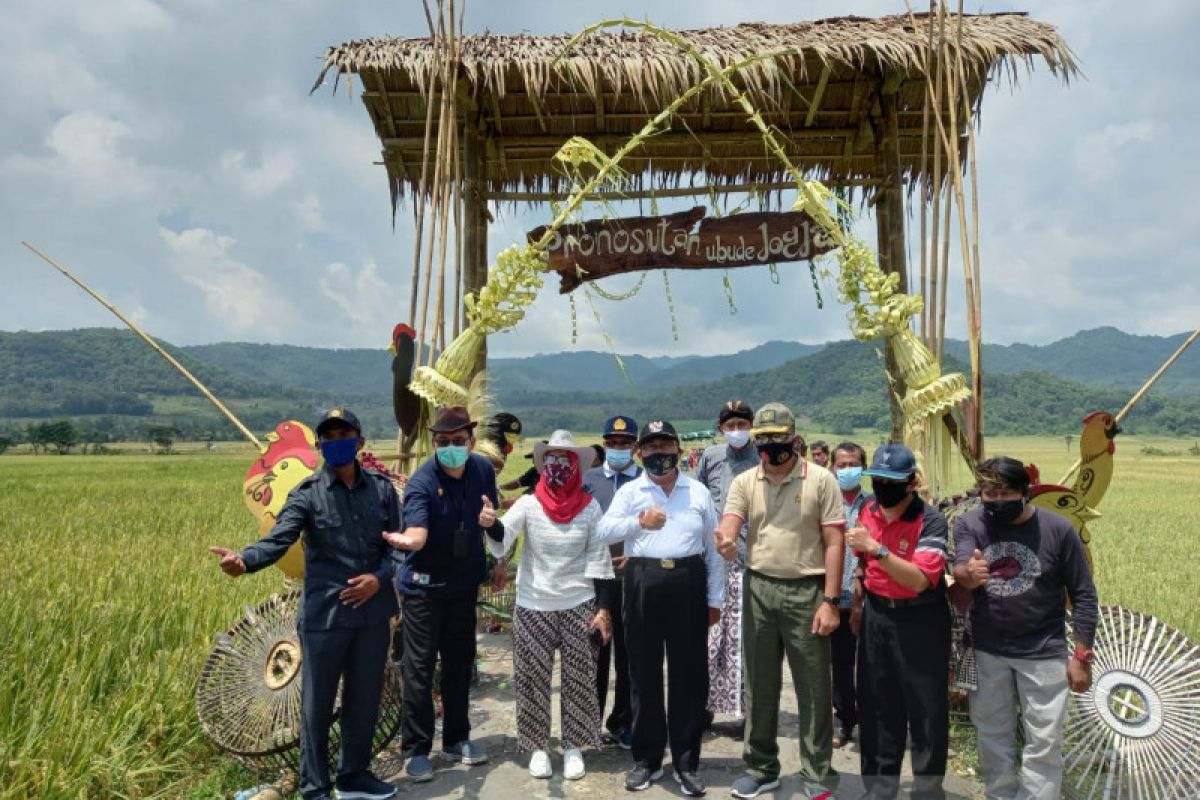 DPRD Kulon Progo minta persawahan Pronosatan menjadi kawasan agrobisnis