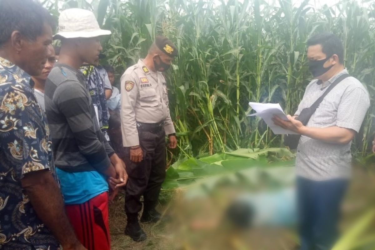 Seorang ibu ditemukan meninggal di ladang jagung