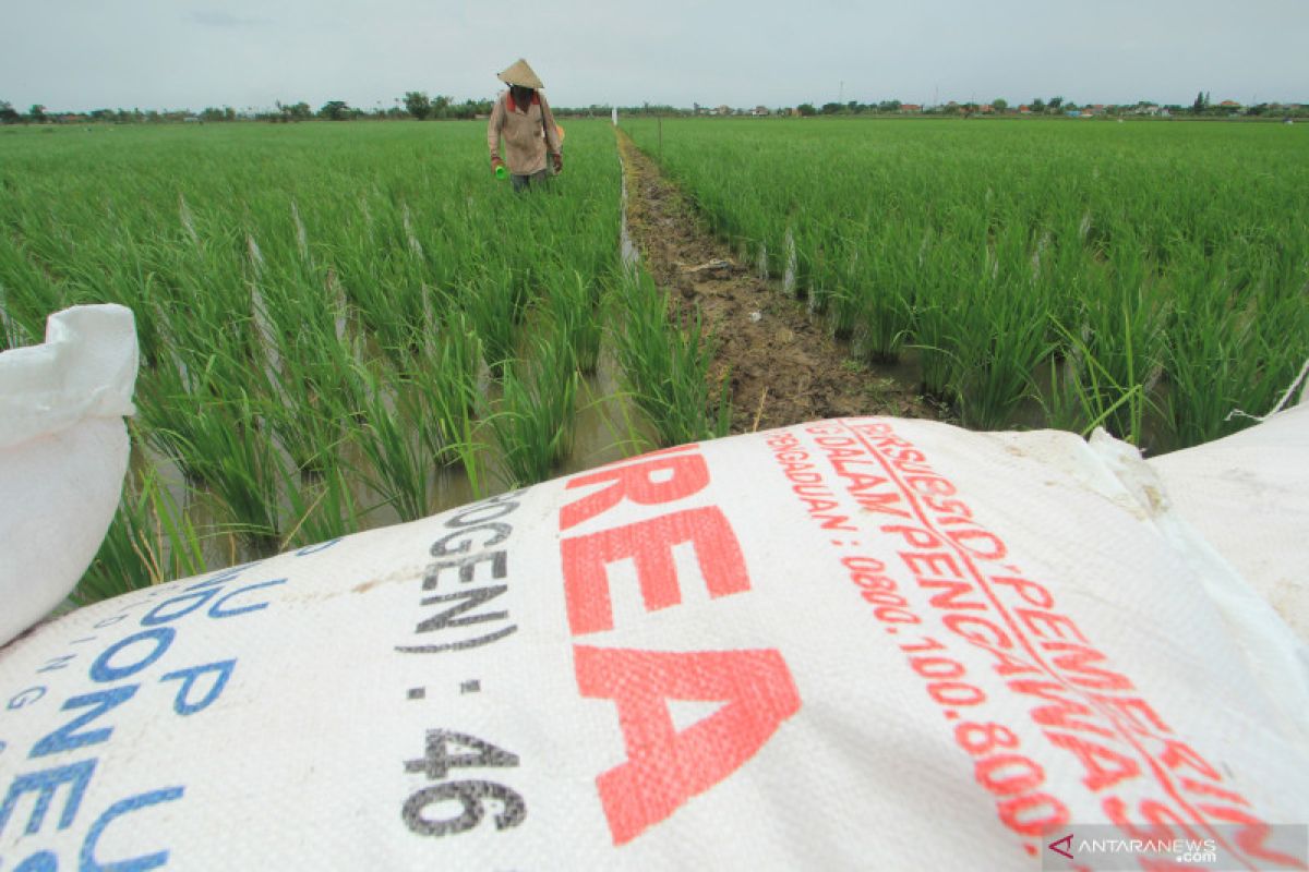 Legislator sebut naiknya HET pupuk tingkatkan biaya produksi petani