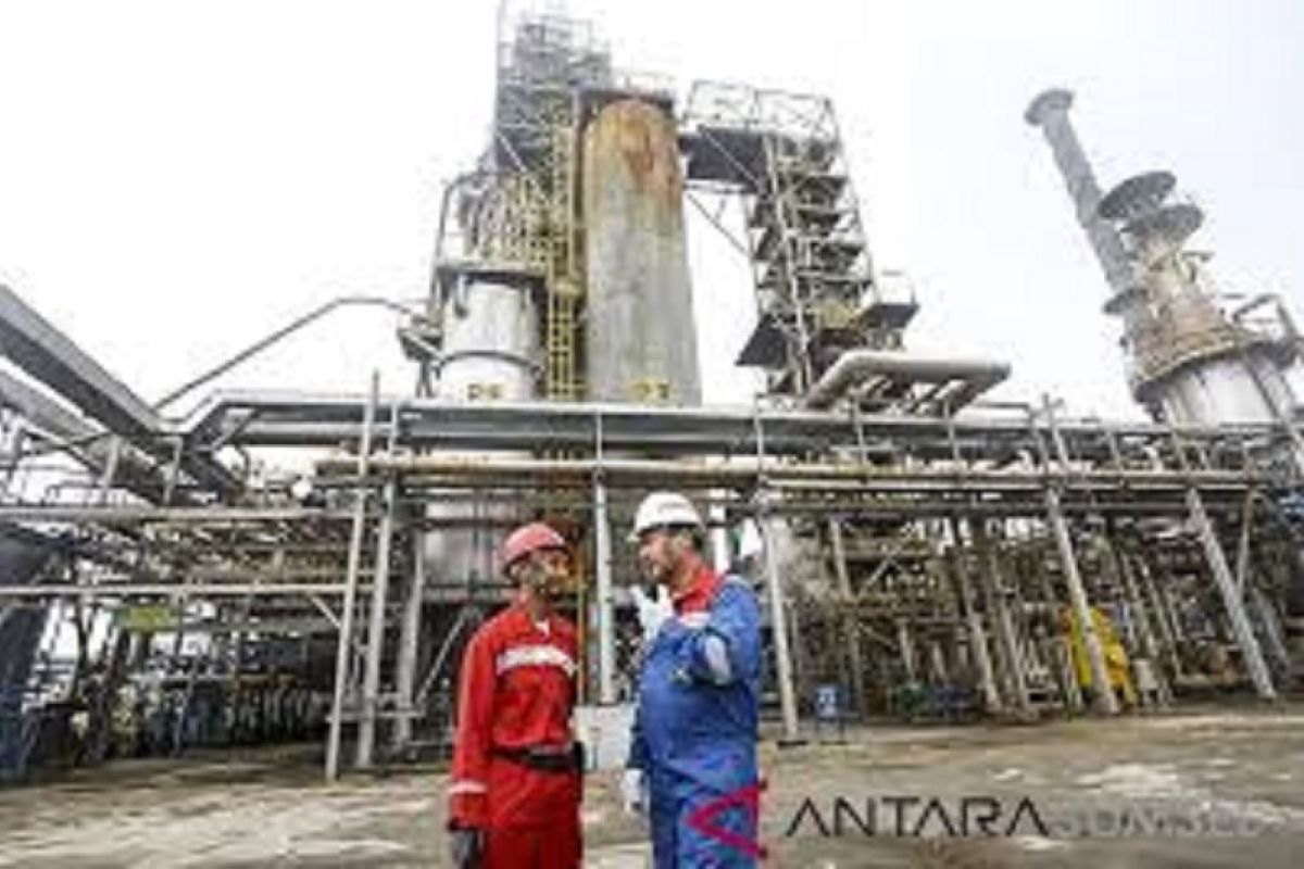 Dewan Energi Nasional ungkap cara agar Indonesia bisa bebas impor energi