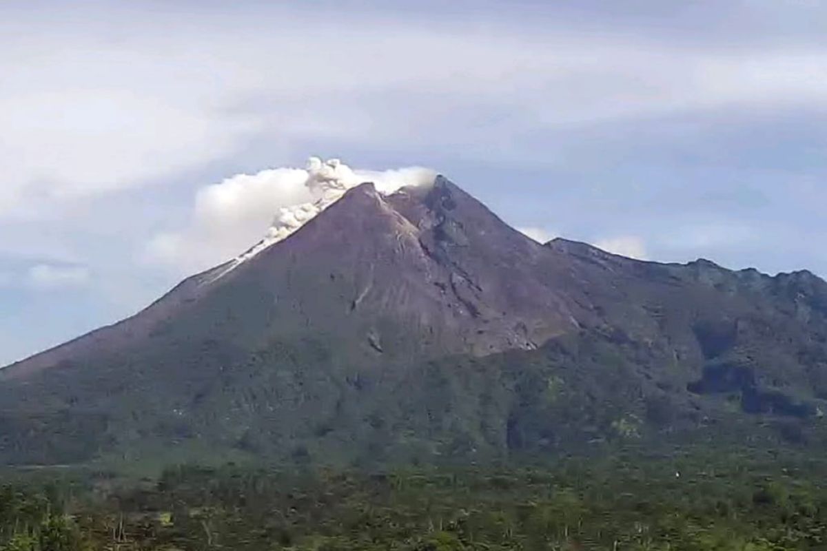 Gunung Merapi  meluncurkan awan panas guguran sejauh 600 meter