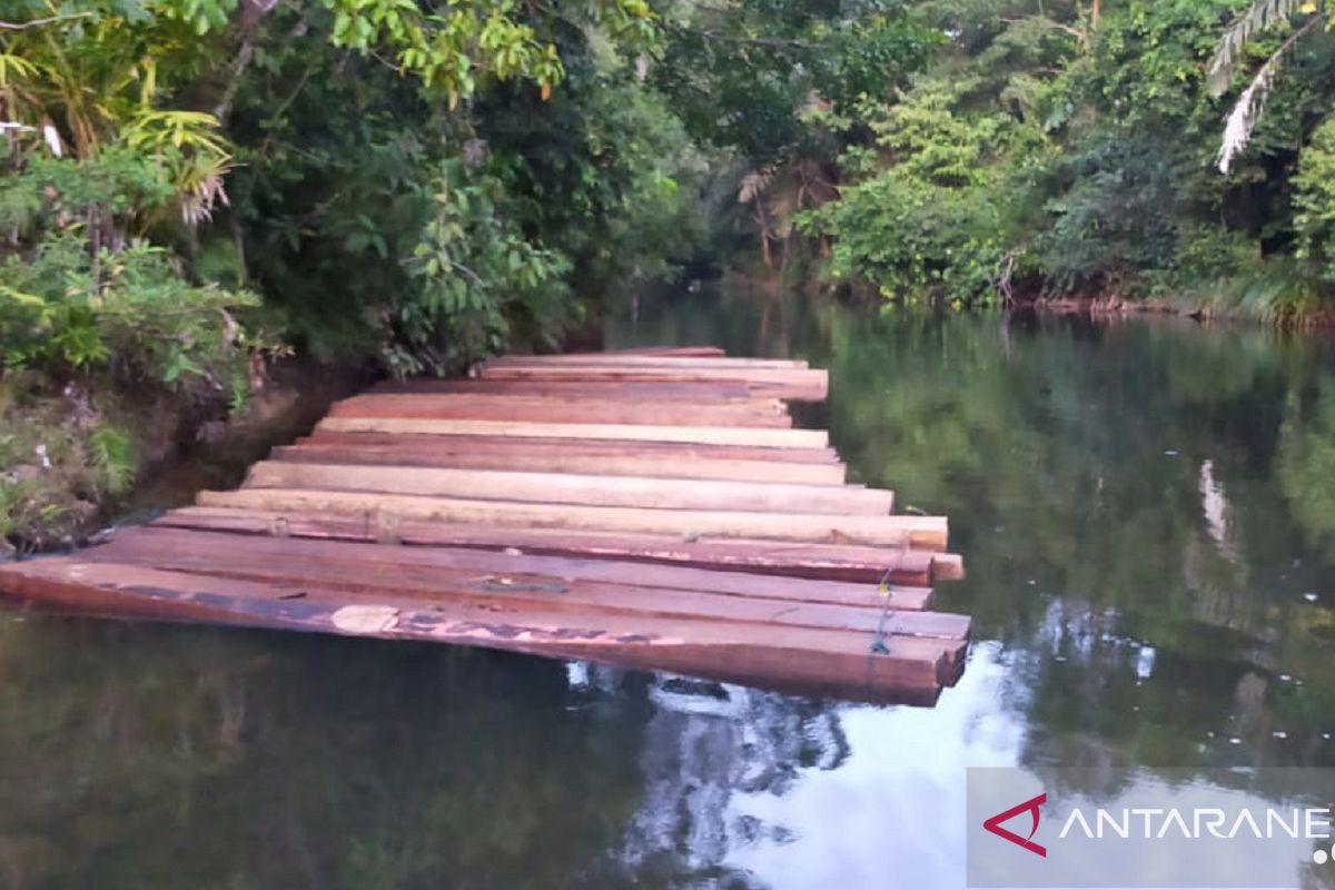 Puluhan kayu balok mengambang di sungai, diduga hasil pembalakan